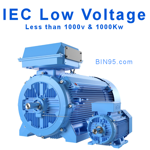 low voltage electric motors